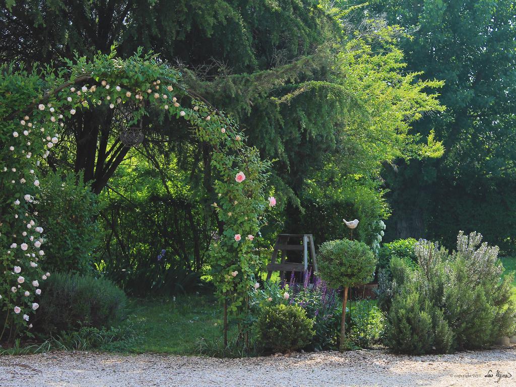 La Vigna B&B Trévise Extérieur photo