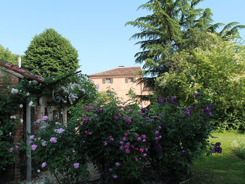 La Vigna B&B Trévise Extérieur photo